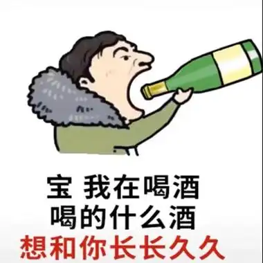 宝我在喝酒喝的什么酒想和你长长久久图片表情包