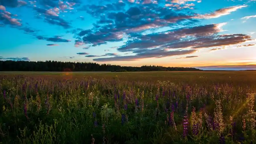 大自然草原超清风景图片桌面壁纸
