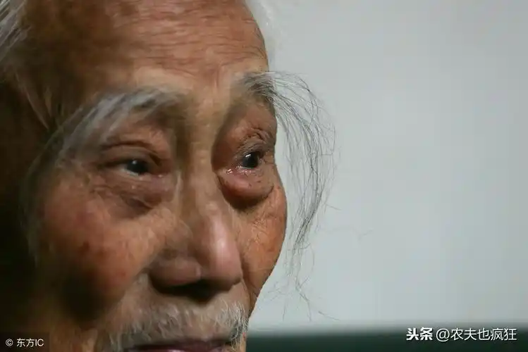 农村老人说"耳内长毛人聪慧,眉毛长长人长寿",是真的吗?