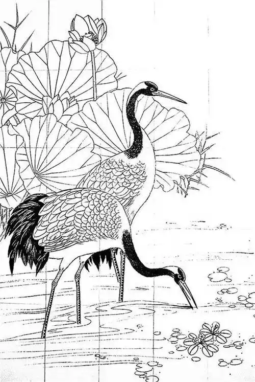 一组白描仙鹤,惟妙惟肖︱艺术名画