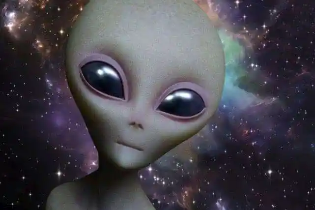 觉得有演员跟外星人(小灰人)撞脸了