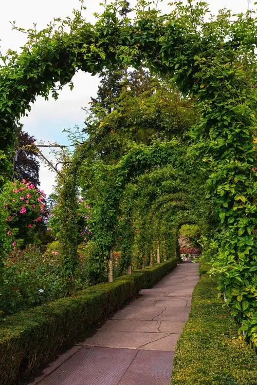 加拿大温哥华岛上的风景秀丽布查特花园