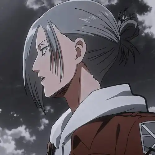 进击的巨人自截动漫头像,阿尼·利昂纳德,最厉害的巨人