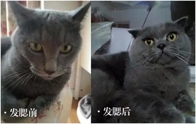 连明星也逃不过的发腮有多可怕我赶紧摸了摸脸