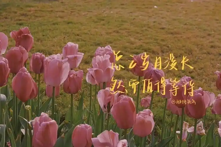 那些励志的ipad电脑壁纸|ipad|壁纸|电脑_新浪新闻