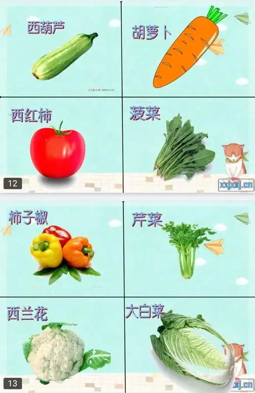 我从认知,能力,情感三个维度制定以下目标: 1,认识多种蔬菜,能说出