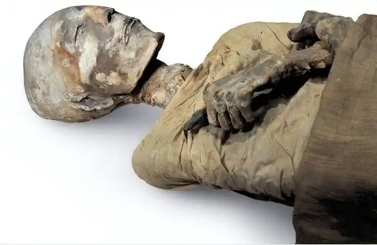 《埃及的文物珍藏》:实用"随身讲解员"带您探究古埃及千年之谜_木乃伊