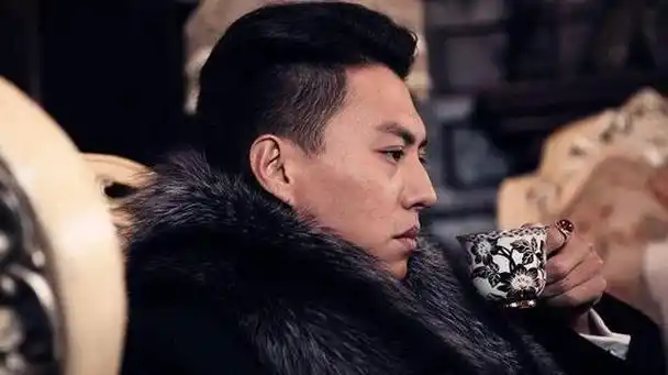 盘点靳东曾出演的47部电视剧(靳东演技千篇一律审美疲劳)图26