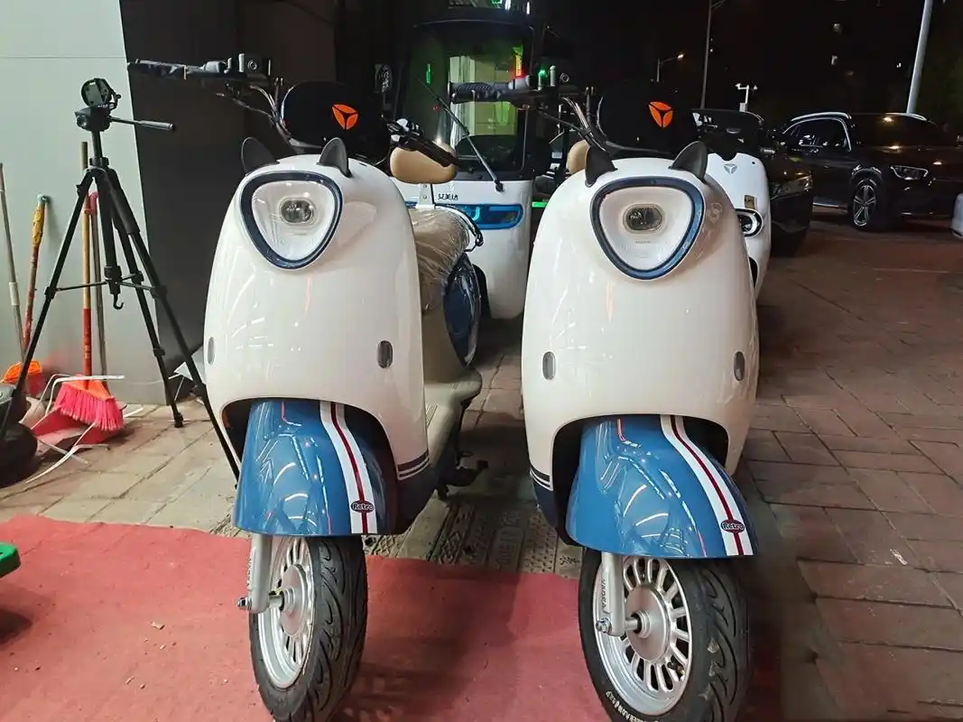 雅迪电动车m20 郑州雅迪电动车旗舰店