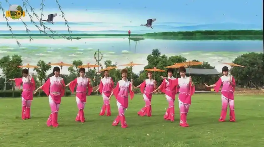 最新9人广场舞变队形视频在线观看 - 西瓜视频