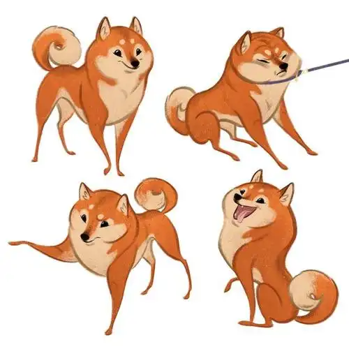 可爱小狗的照片动漫 特别可爱的小狗照片