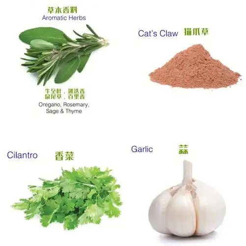 四大圣物草本与香料地球母亲能治愈我们