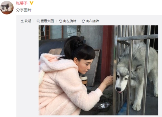 吴亦凡撞脸谢娜? 天啦撸!俩人太像了(组图)