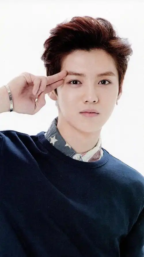 鹿晗个人简介:鹿晗(lu han),中国男歌手,演员,原exo组合成员.