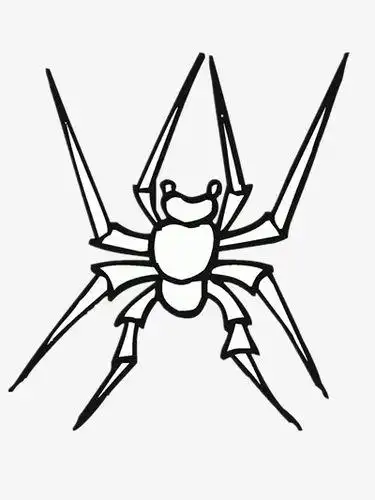 漏斗网蜘蛛简笔画