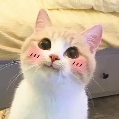 可爱萌宠qq头像高清好看的可爱萌宠头像图片精选