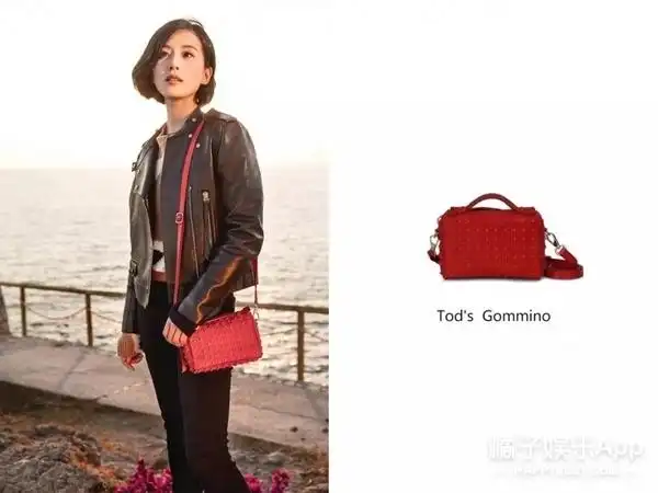 刘诗诗包包盘点正式任命tods品牌大使温婉简单有气质说的就是她