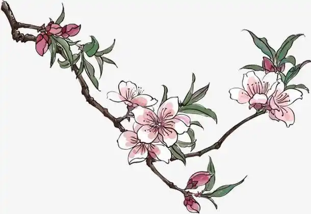 梅花简笔画水彩素材
