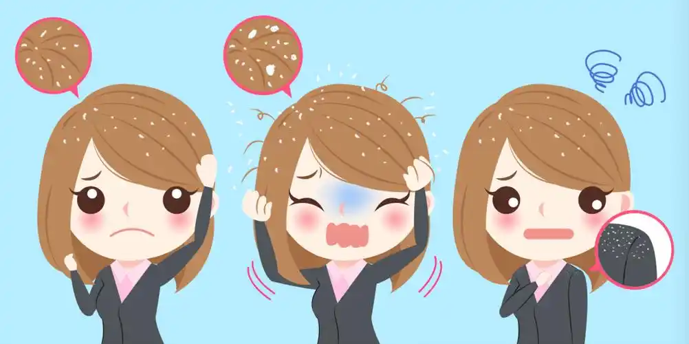 头屑多头痒难耐可能是这个病在作怪