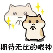 期待无比的眼神