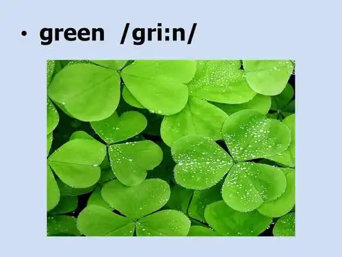 小学三年级join in 英语unit 3 coloursppt