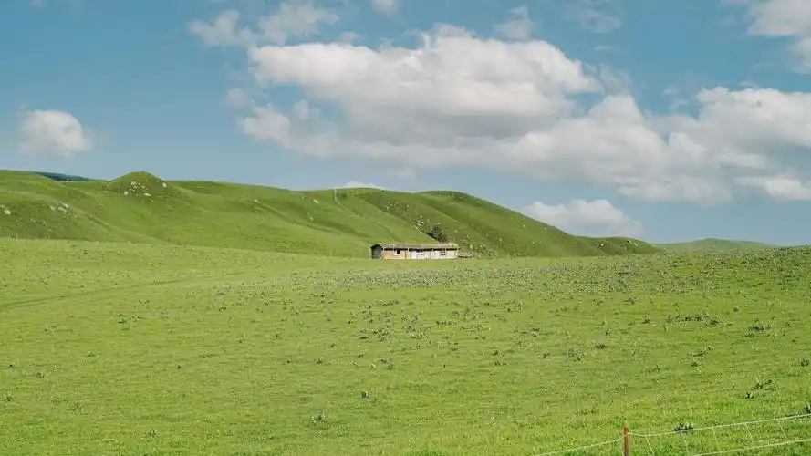 新疆琼库什台大草原,风景-回车桌面
