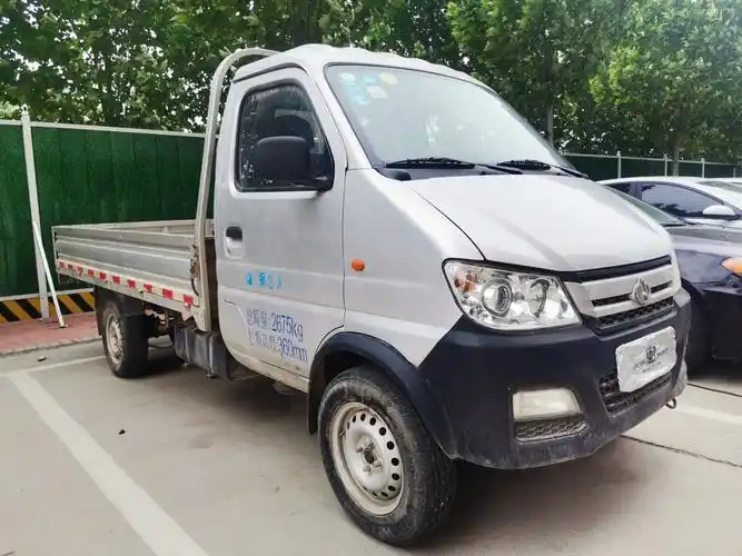 长安跨越 新豹mini  2016款 1.2l单排3050后单轮cngdk12-10图片