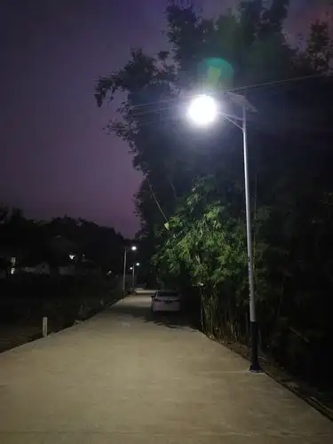 路灯下的乡村夜景