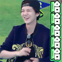 鹿晗综艺笑翻了真的有毒哈哈哈哈哈哈哈gif动图_动态图_表情包下载