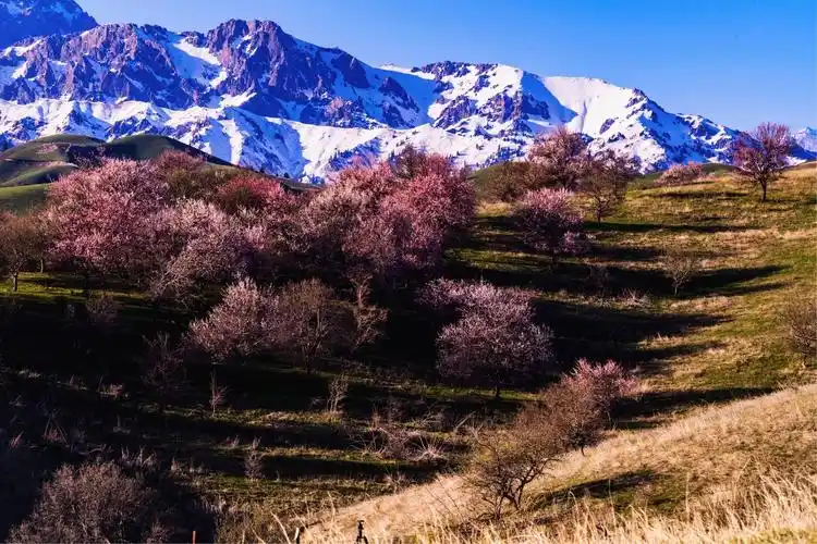 美了,美了,我梦中的大西沟,福寿山