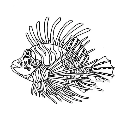 3,继续刻画狮子鱼的身体图案.