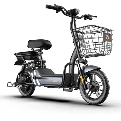 yadea 雅迪 小王子 48v 新国标电动车