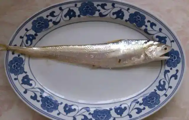 说的就是长江三鲜之一的长江刀鱼,长江三鲜,刀鱼,鲥鱼,河豚,刀鱼为首.