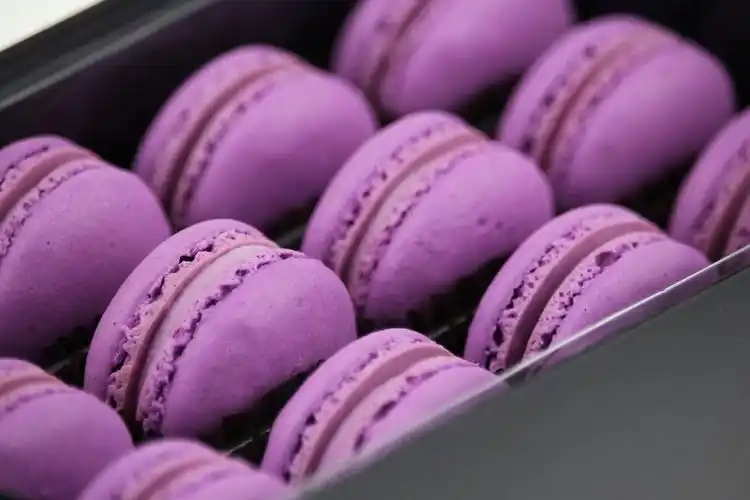 糕点心葡萄甜品零食品送女友礼盒 麦奇乐法式 马卡龙甜点12枚热卖