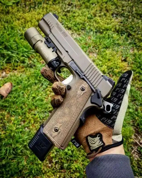 枪械大图那种散发与冰冷外壳之上的独特魅力真的让人难以抵挡