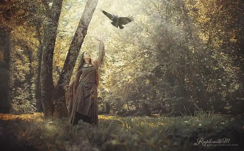 【蜂·辞典】森系:不只是在森林里拍的照片