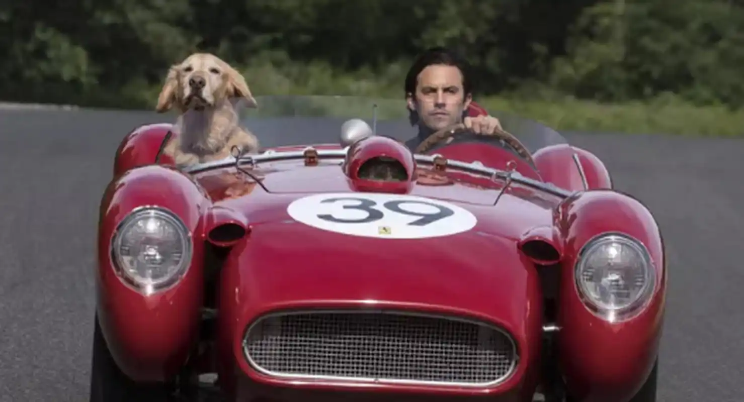 想起了几年前看的一部电影《我在雨中等你》,令我印象十分深刻.