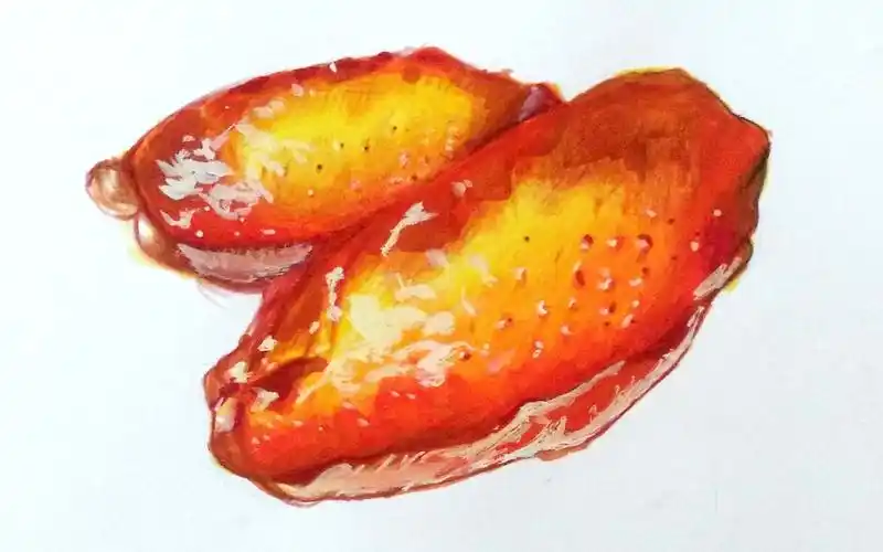 【马克笔彩铅】概念鸡翅?,嗯～真香!