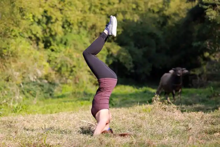 户外瑜珈