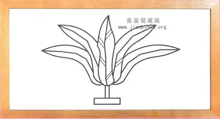 鸡毛毽子简笔画图片教程