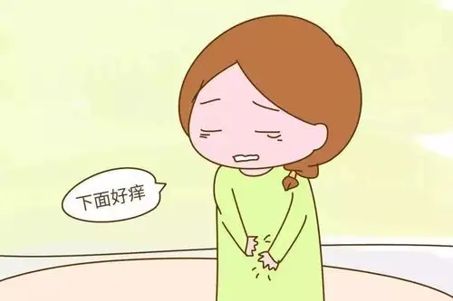 怀孕了下面痒是怎么回事