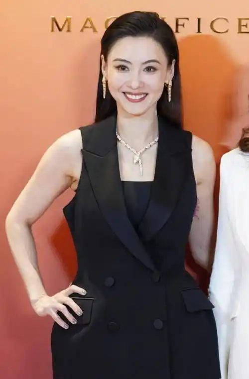 男人们纷纷表达了对张柏芝的钦佩,称他的气质和魅力超出了他的年龄