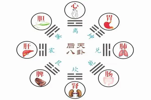 67六爻八卦万物类象