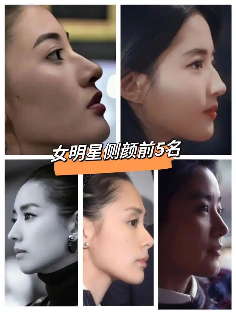 女明星侧颜top 5 侧颜美的关键三要素:下颌线,鼻子,脖子.