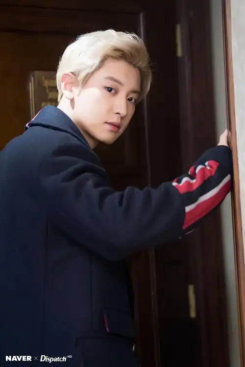 exo朴灿烈活动写真苏炸了 帅气邪魅一笑狂撩粉丝【组图】--韩国频道