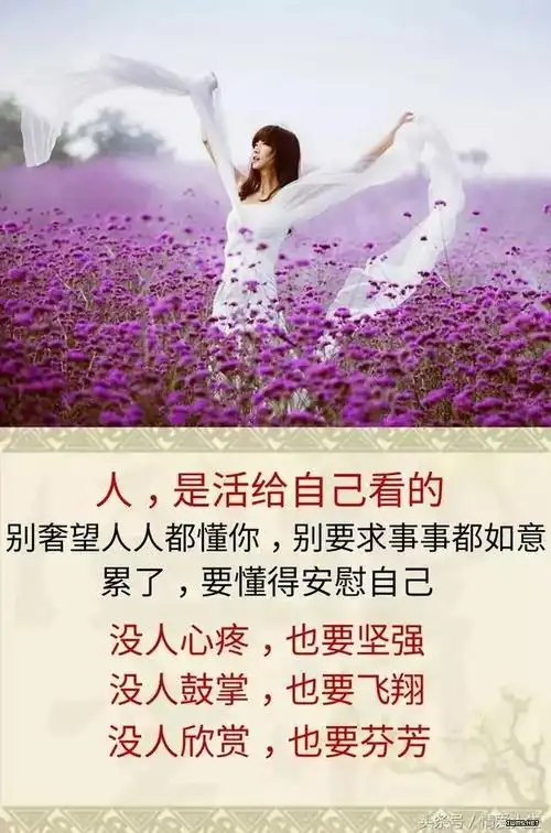 没人鼓掌,也要飞翔;没人欣赏,也要芬芳;没人心疼,也要坚强