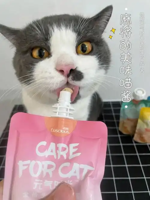 麻将的美味喵酱