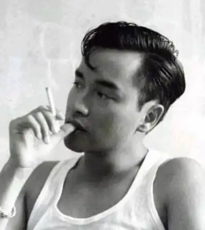 评评一下位男明星抽烟最帅,黄秋生,刘德华,吴镇宇,张东健,张国荣,陆毅