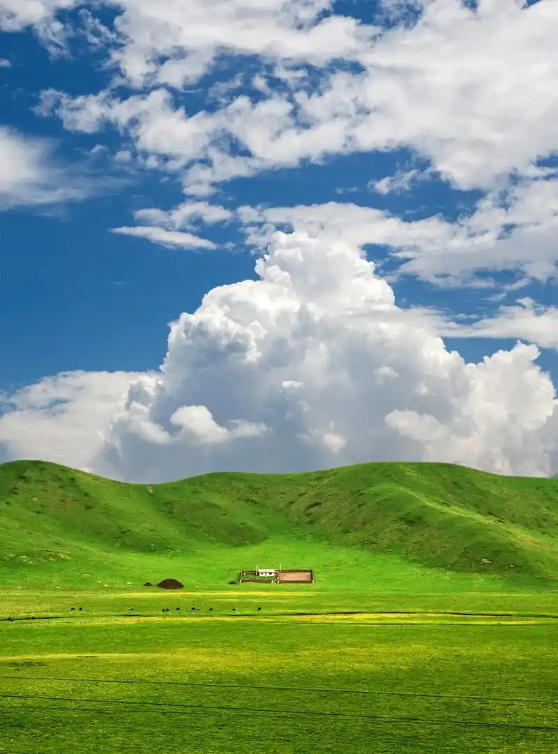 947_1280竖版 竖屏