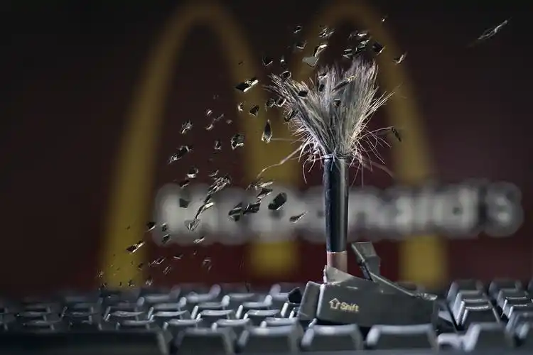 突围- 第六届"金鹤奖"全国数码摄影大赛征稿启事 - 中国数码摄影家